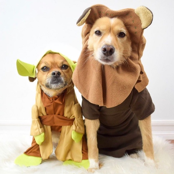 New Hooters Girl Uniform Tank Top from Clearwater Florida Sizes Xs Small Medium - Picture 10 of 10